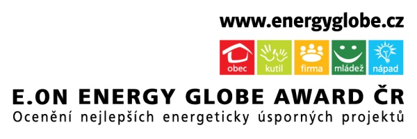 Energy globe 2013 logo